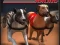 Lojë Greyhound Racing në internet