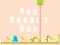 Lojë Run Rabbit Run në internet