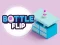 Lojë Bottle Flip në internet