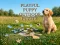 Lojë Playful Puppy Outdoor Puzzle në internet