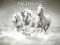 Lojë Horses Puzzle në internet