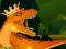 Lojë The Dino King në internet