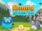 Lojë Bunny Storm në internet