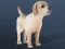 Lojë IDLE Pet në internet