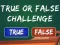 Lojë  True Or False Challenge në internet