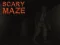Lojë Scary Maze në internet