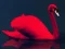 Lojë Love Birds Puzzle në internet