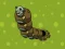 Lojë Zombie Worms në internet