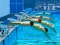 Lojë Swimming Pool Race në internet