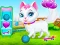 Lojë Pet Health Care në internet