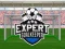 Lojë Expert Goalkeeper në internet