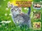 Lojë Kittens Jigsaw në internet