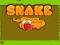 Lojë Snake në internet