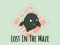Lojë Lost In The Maze në internet