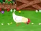Lojë Stupid Chicken në internet