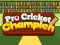 Lojë Pro Cricket Champion në internet