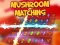 Lojë Mushroom matching në internet
