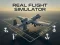 Lojë Real Flight Simulator në internet
