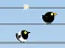 Lojë Gone with the Birds në internet