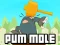 Lojë Pum-Mole në internet