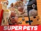 Lojë DC League of Super Pets Jigsaw Puzzle në internet