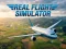 Lojë Real Flight Simulator në internet