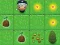 Lojë Magic Seeds në internet