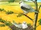 Lojë Birds Of Prey Puzzle në internet