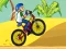 Lojë BMX Boy Online në internet