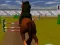 Lojë Jumping Horse 3d në internet