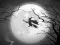 Lojë The Night Of the Witches Jigsaw në internet