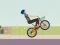 Lojë Wheelie Biker në internet