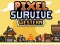 Lojë Pixel Survive Western në internet