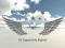 Lojë Air Superiority Fighter në internet