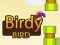 Lojë Birdy Bird në internet