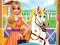 Lojë Princess Pet Treatment në internet