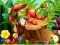 Lojë Hidden Objects Insects në internet