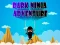 Lojë Dark Ninja Adventure në internet