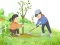 Lojë Arbor Day Puzzle në internet