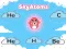 Lojë SkyAtoms në internet
