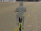 Lojë Bicycle Simulator në internet