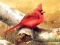 Lojë Art Birds Puzzle në internet