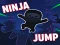 Lojë Ninja jump në internet