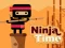 Lojë Ninja Time në internet