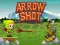 Lojë Arrow Shoot në internet