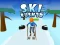 Lojë Ski Rush 3d në internet