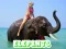 Lojë Elephants Puzzle në internet