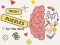 Lojë Brain Puzzles Quests në internet