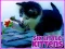 Lojë Six Little Kittens në internet