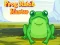 Lojë Frog Match Master në internet